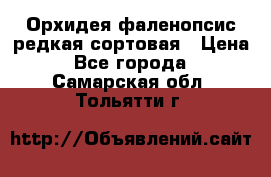 Орхидея фаленопсис редкая сортовая › Цена ­ 800 - Все города  »    . Самарская обл.,Тольятти г.